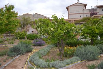 La Mancomunidad dispone de un huerto urbano